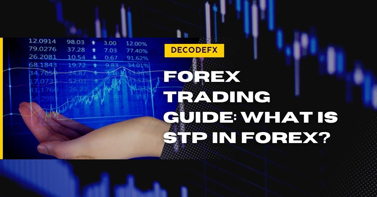 Forex Trading Guide: What is STP in Forex - Decode Global